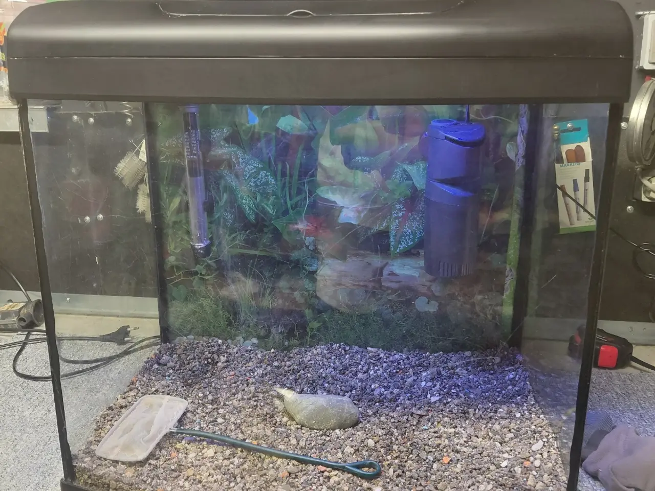Billede 1 - Akvarier 65L