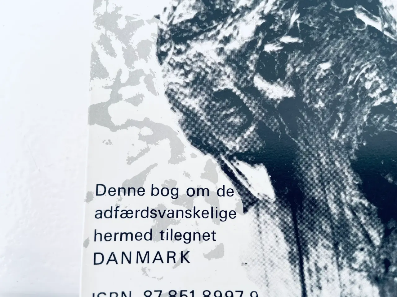 Billede 5 - Teoretisk frihed, praktisk tvang