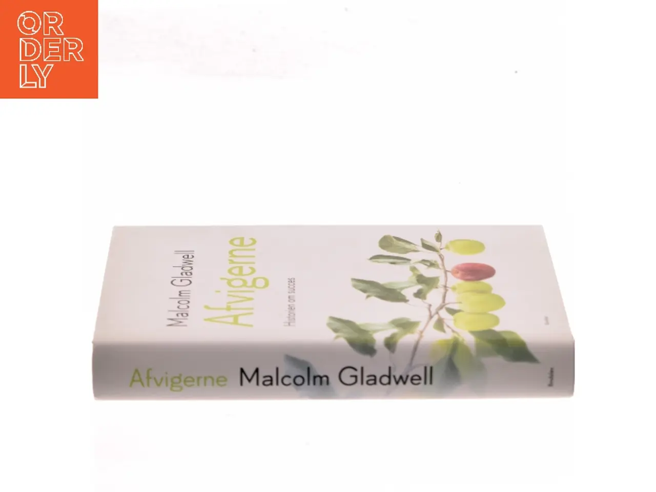 Billede 2 - Afvigerne : historien om succes af Malcolm Gladwell (Bog)