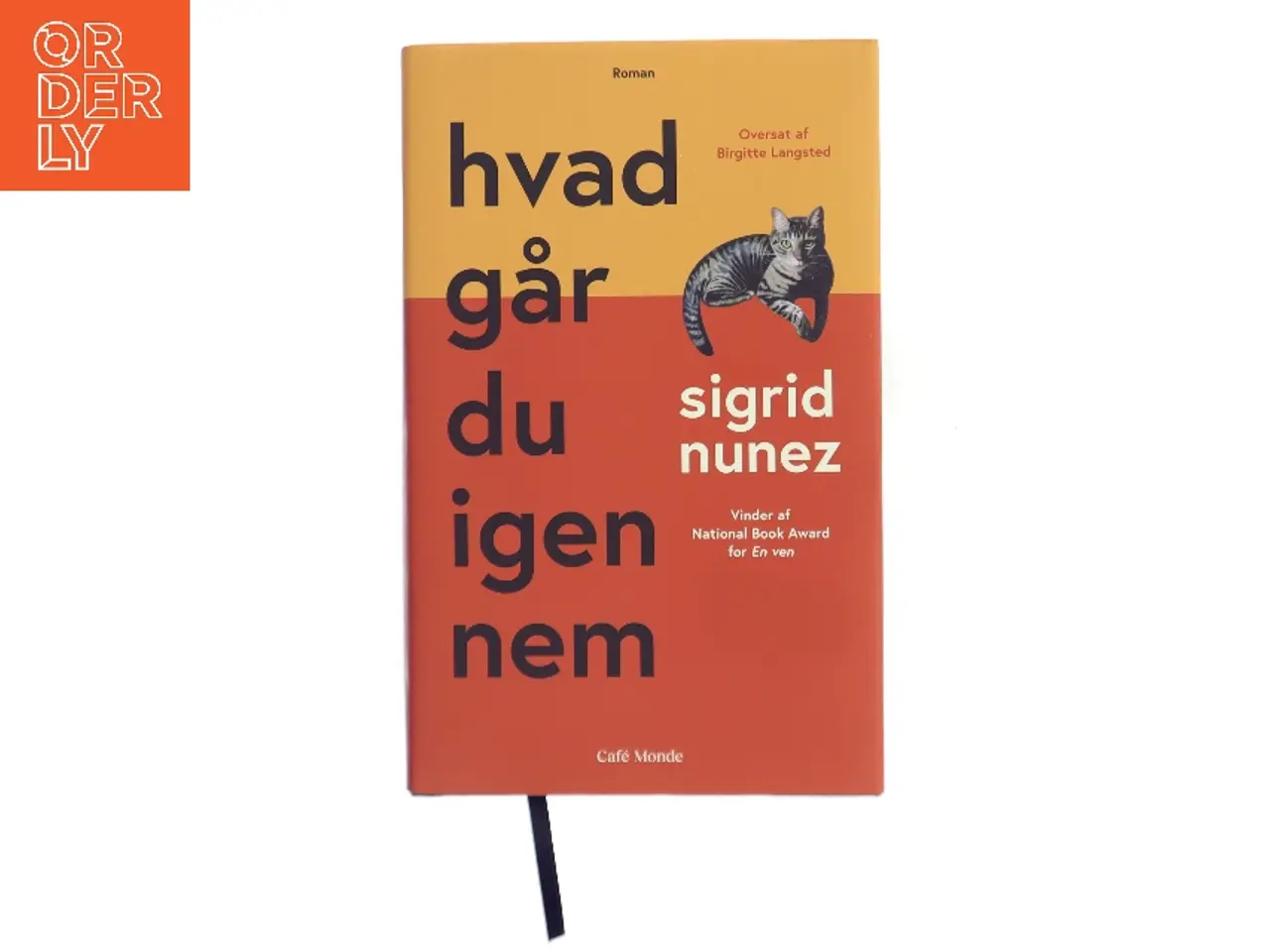 Billede 1 - Hvad går du igennem : roman af Sigrid Nunez (f. 1951) (Bog)