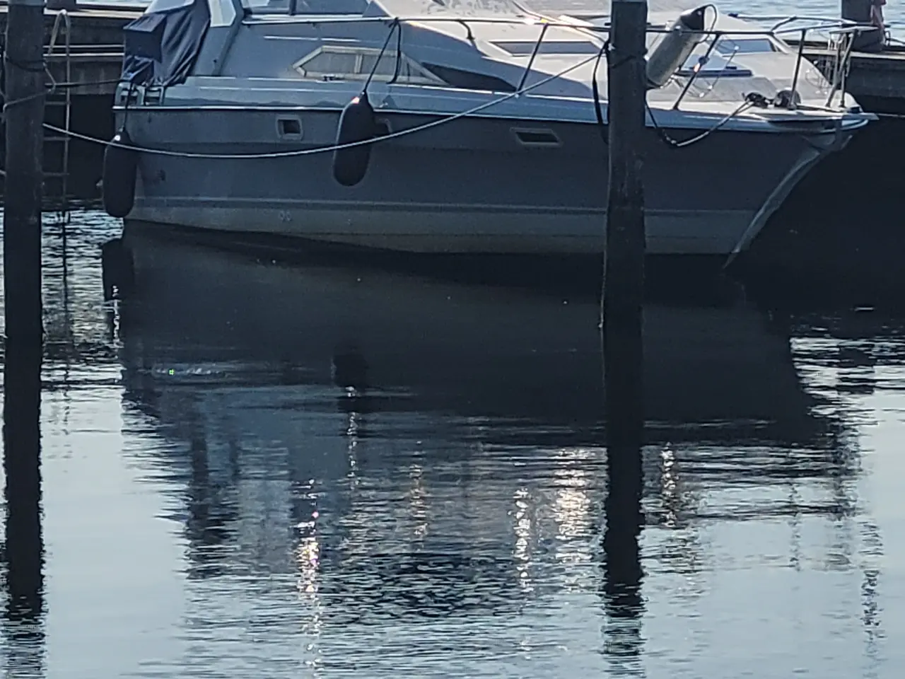 Billede 1 - Bayliner sciera sunbridge 2655