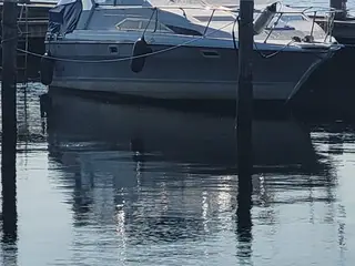 Bayliner sciera sunbridge 2655