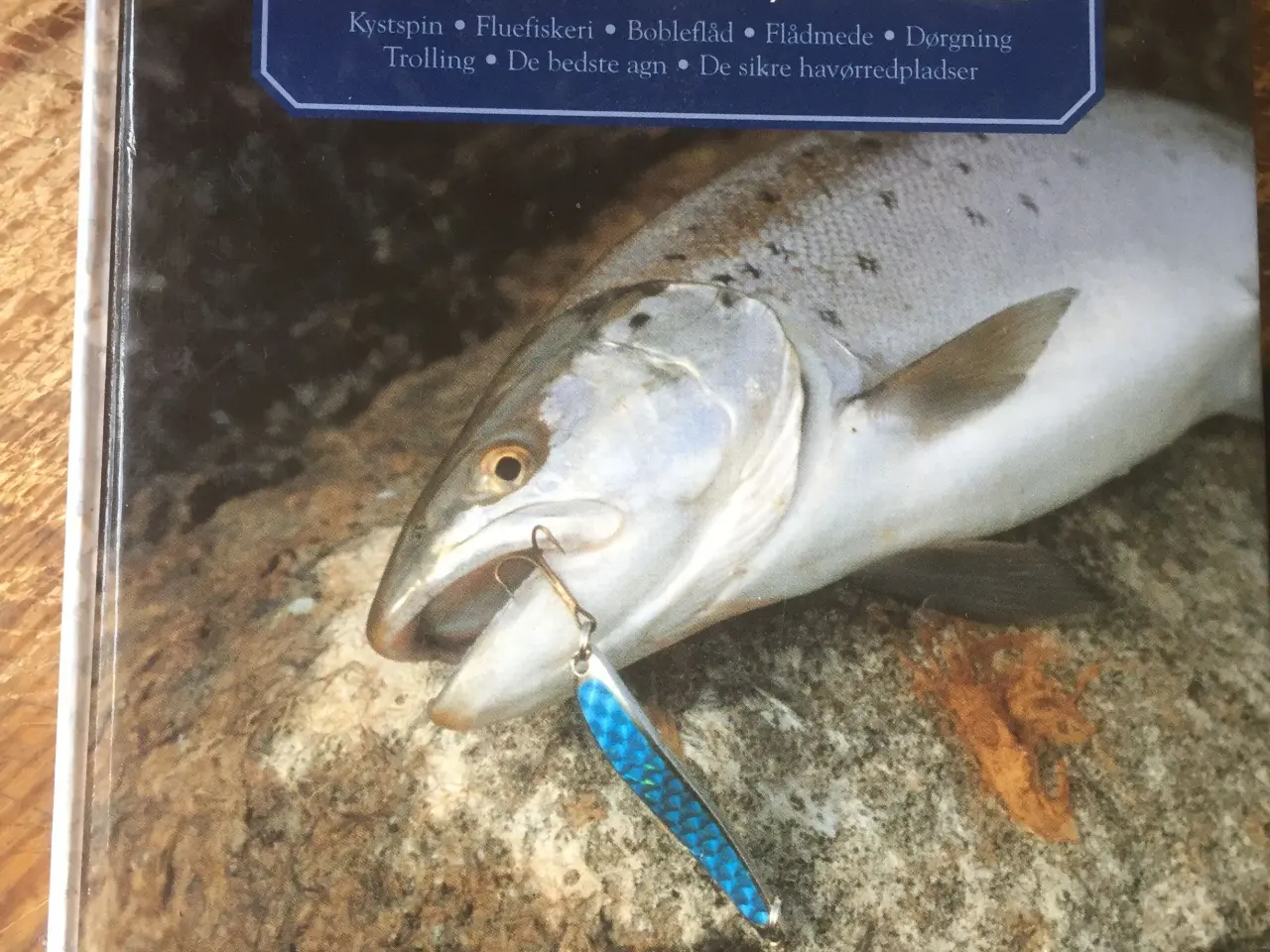 Billede 1 - KYSTFISKERI efter HAVØRRED - Jens Ploug Hansen