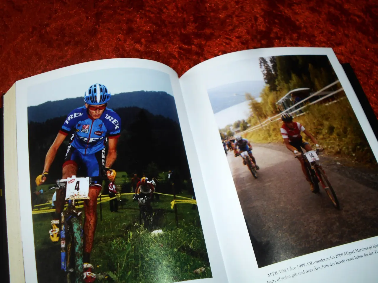 Billede 3 - Gul feber, Michael Rasmussen,