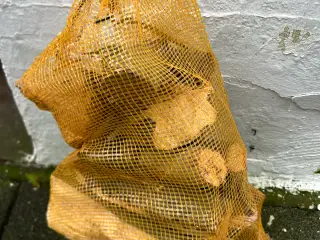 Brænde