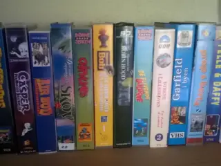 Casper, Air Bud, Chipmunks