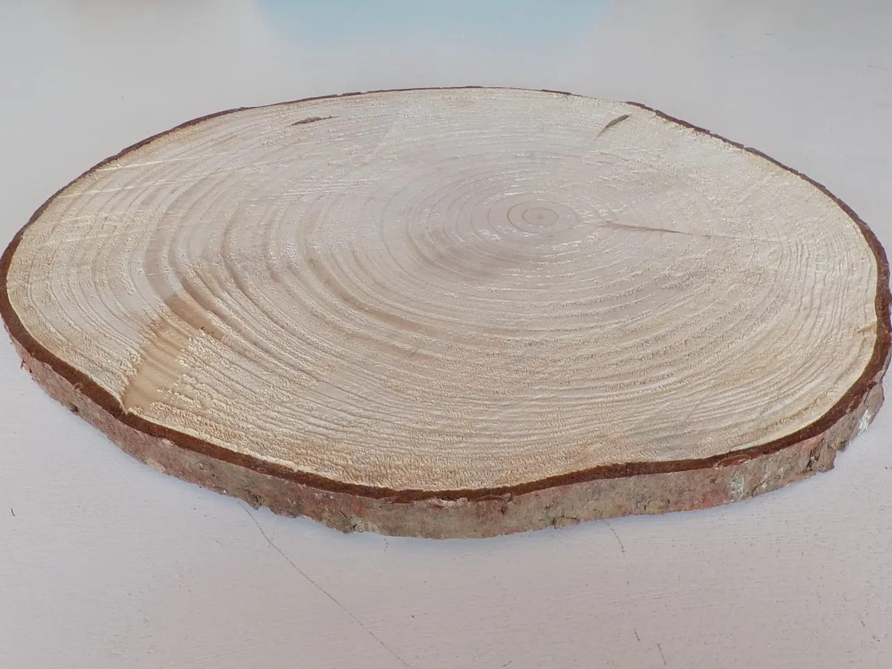 Billede 2 - NY Træskive Rødgran med bark 36,5 cm