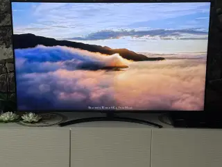 LG 65 NanoCell 2026 med kvittering