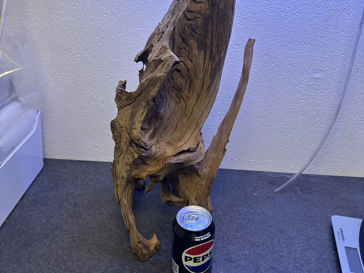 Billede 3 - Trærødder