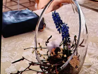 Smukke glas æg/vaser