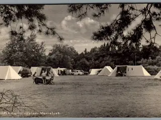FDM Campingplads - Marielyst - Postkort - Brugt