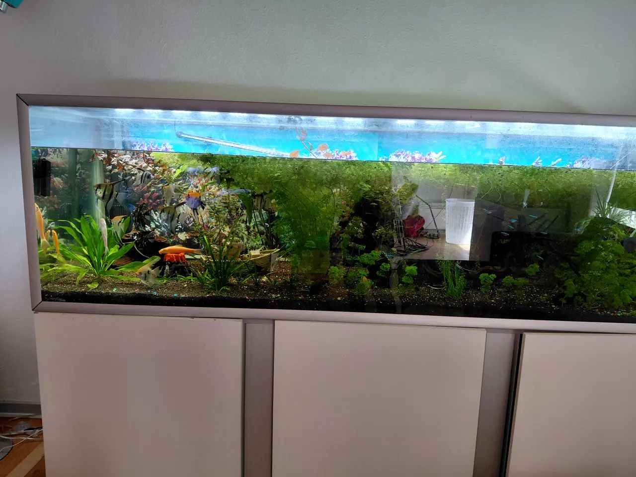 Billede 1 - 720 liters Akvarie 