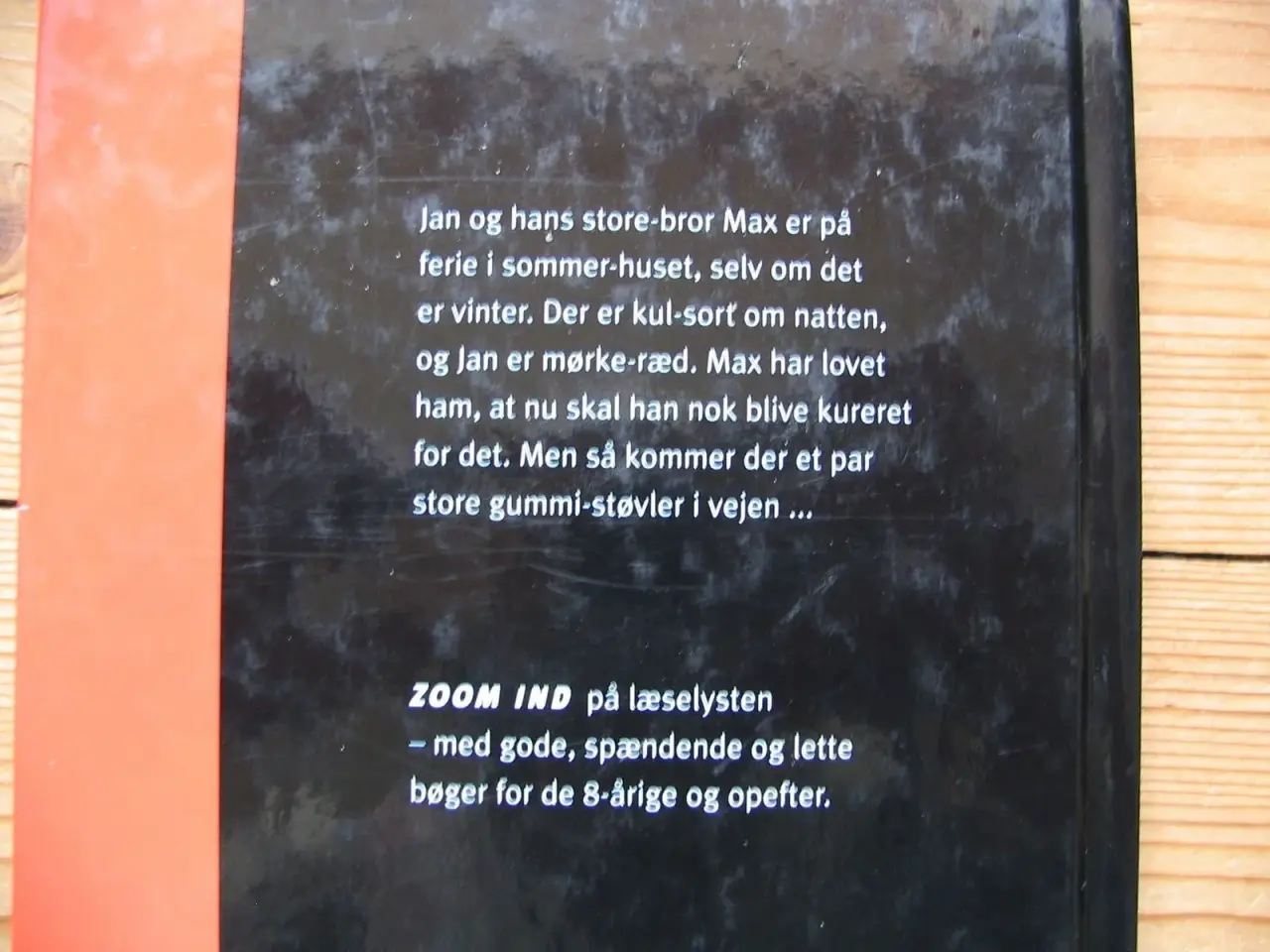 Billede 5 - Thøger Birkeland. Mørkeræd