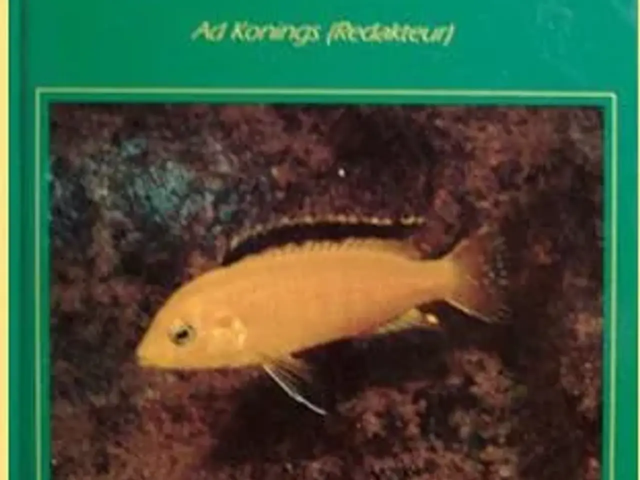 Billede 6 - Malawi Cichlids bøger, tysk - engelsk