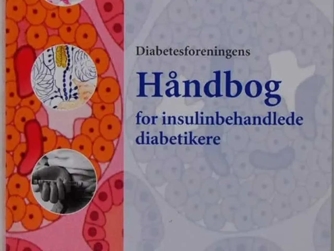 Billede 1 - Håndbog for insulinbehandlede diabetiker