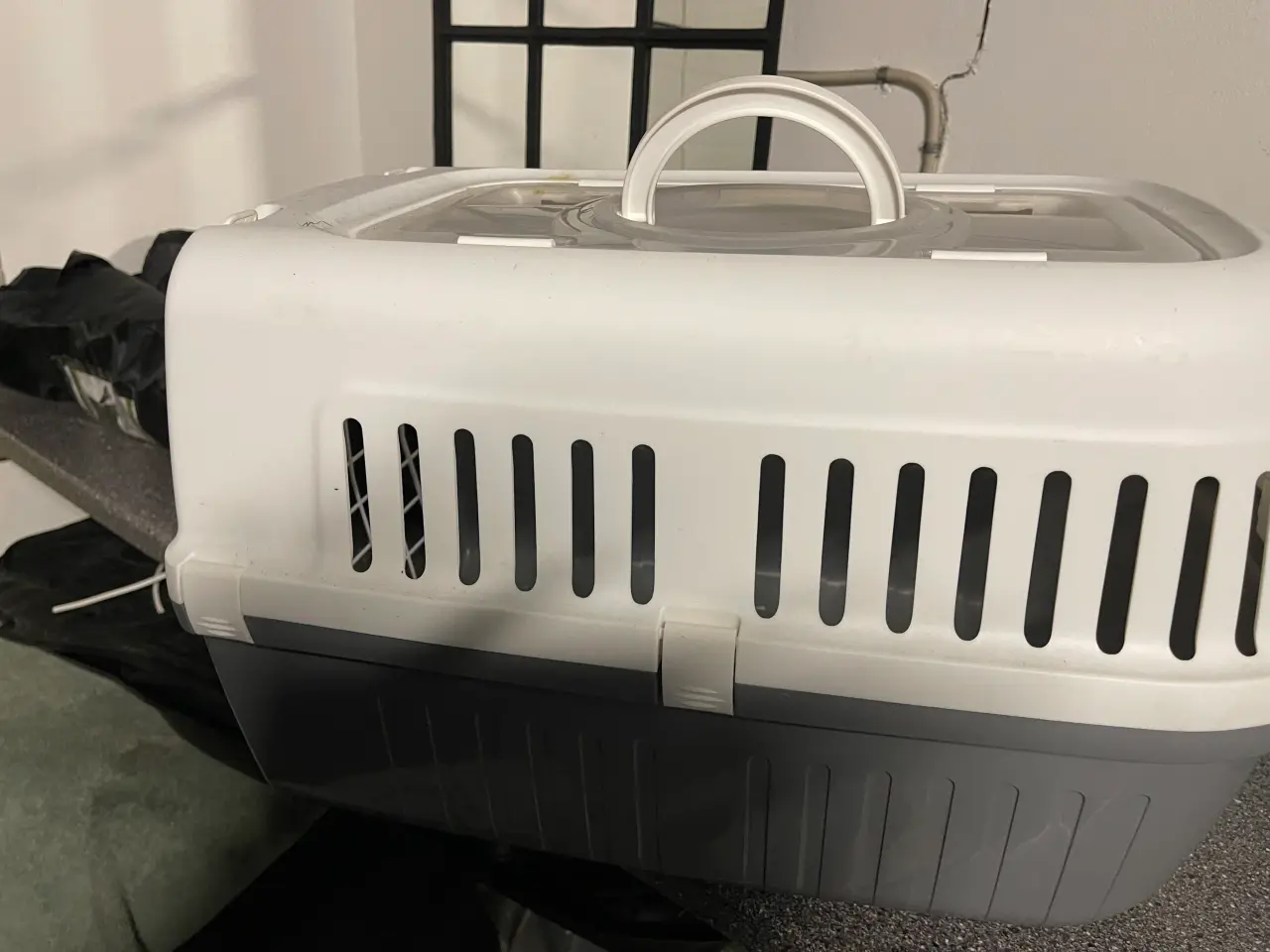 Billede 1 - Transport kasse til hund/ kat