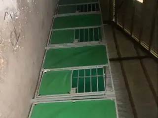 Hestebokse 6 stk.
