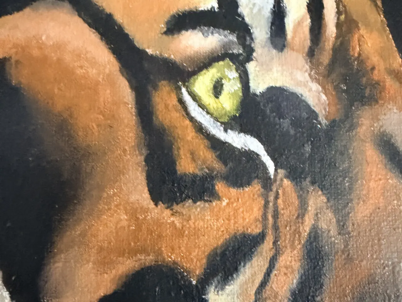 Billede 3 - 🐅Den Majestætiske Tiger