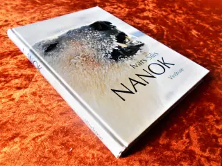 Nanok, Ivars Silis