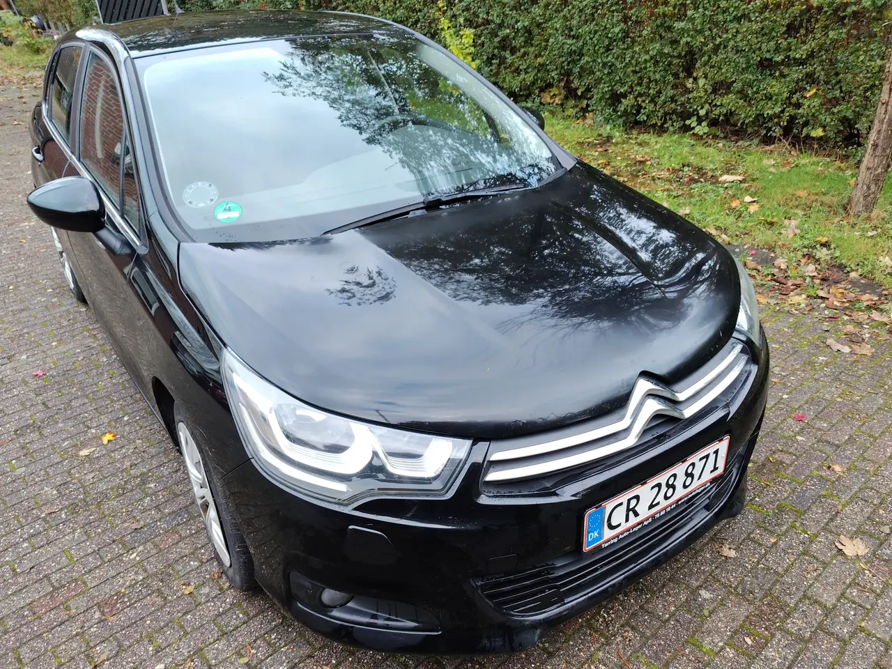 Billede 2 - Citroen C4 Blue HDI 100