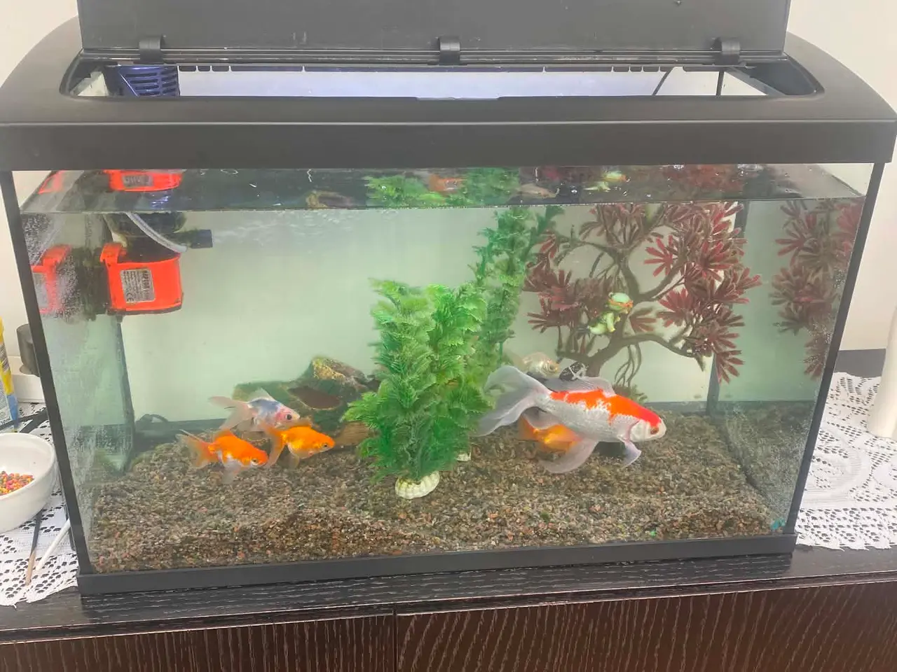 Billede 2 - Akvarium 65l– komplet sæt med fisk og udstyr