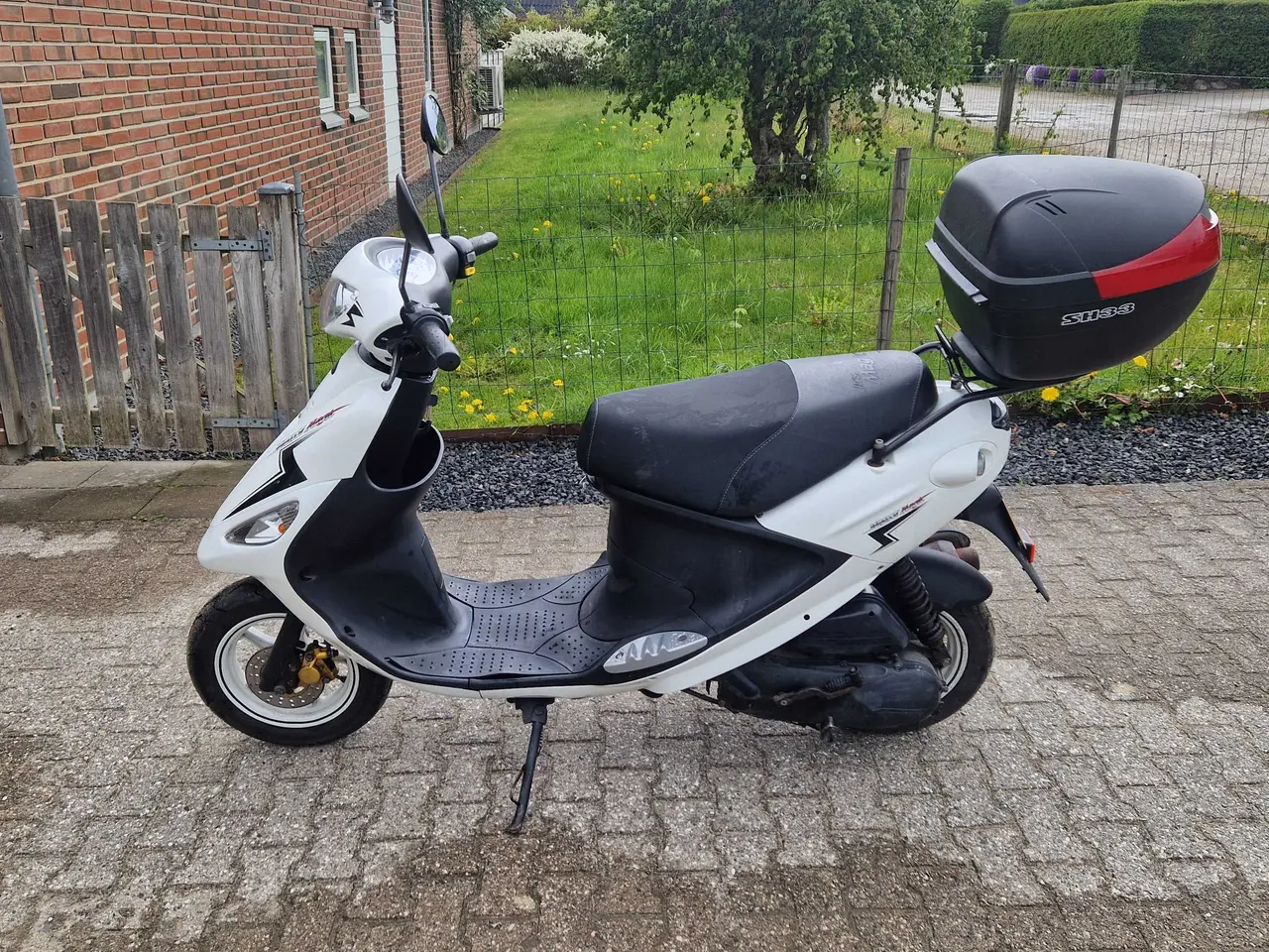 Billede 3 - PGO white magic