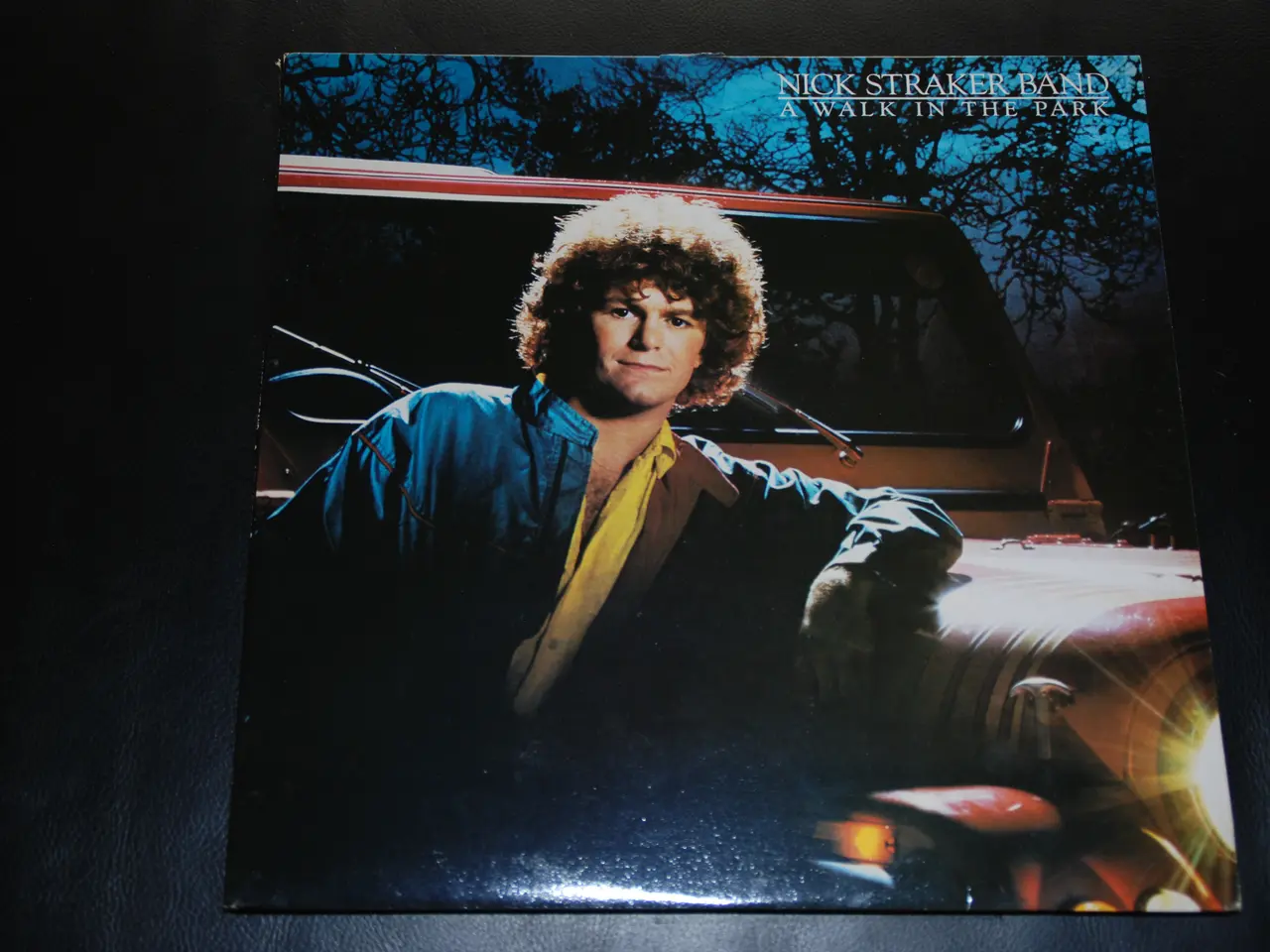 Billede 1 - Vinylplade - Nick Straker Band