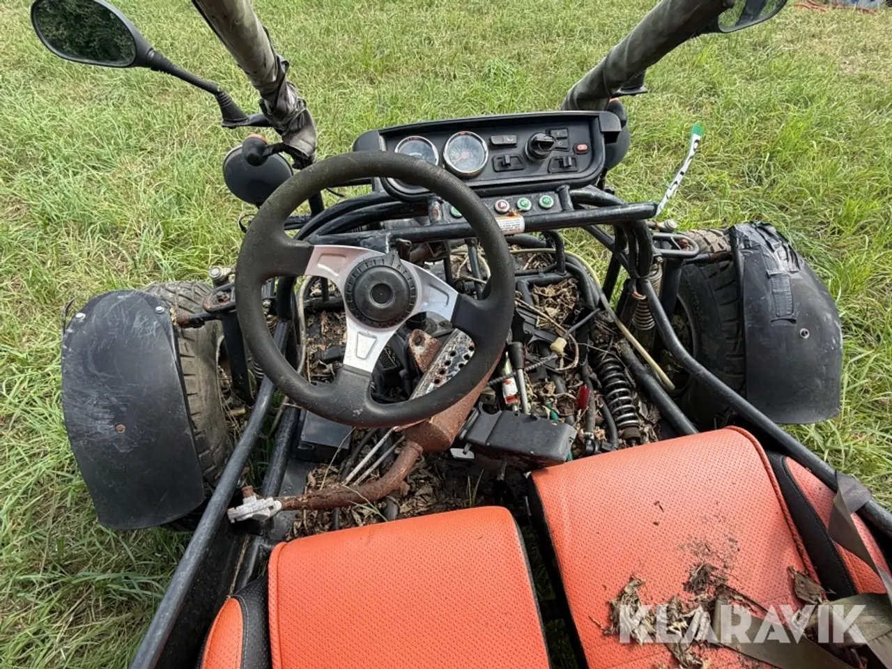 Billede 10 - Buggy