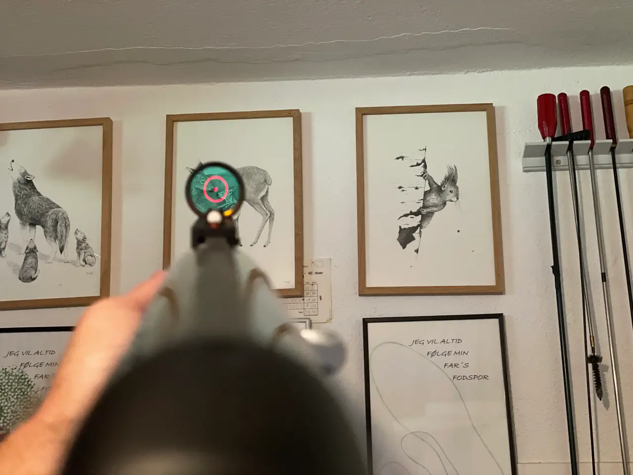 Billede 4 - Benelli Raffaello