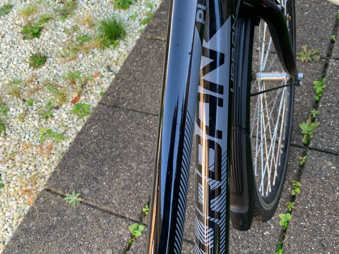 Billede 3 - Sort cykeldame