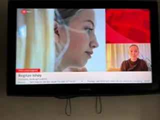 Velholdt Samsung farve TV