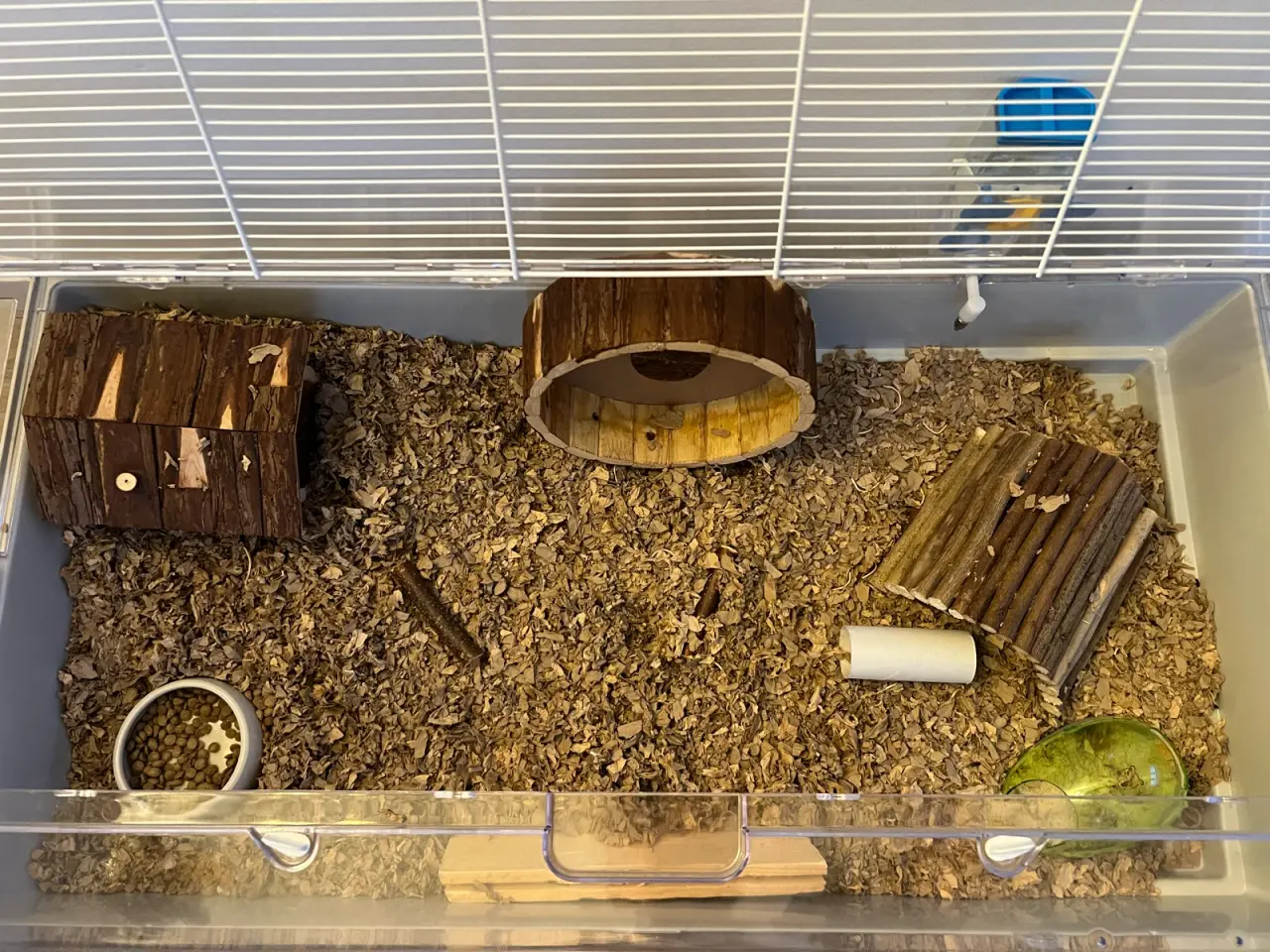 Billede 6 - Hamster- marsvin bur samt guldhamster sælges