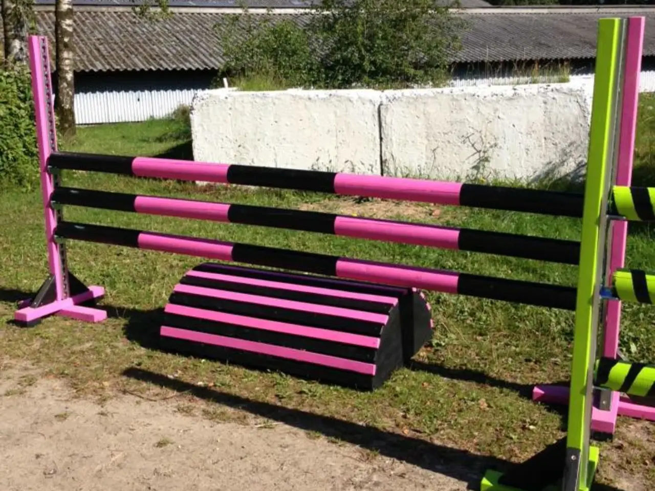 Billede 3 - Nye ridebanespring