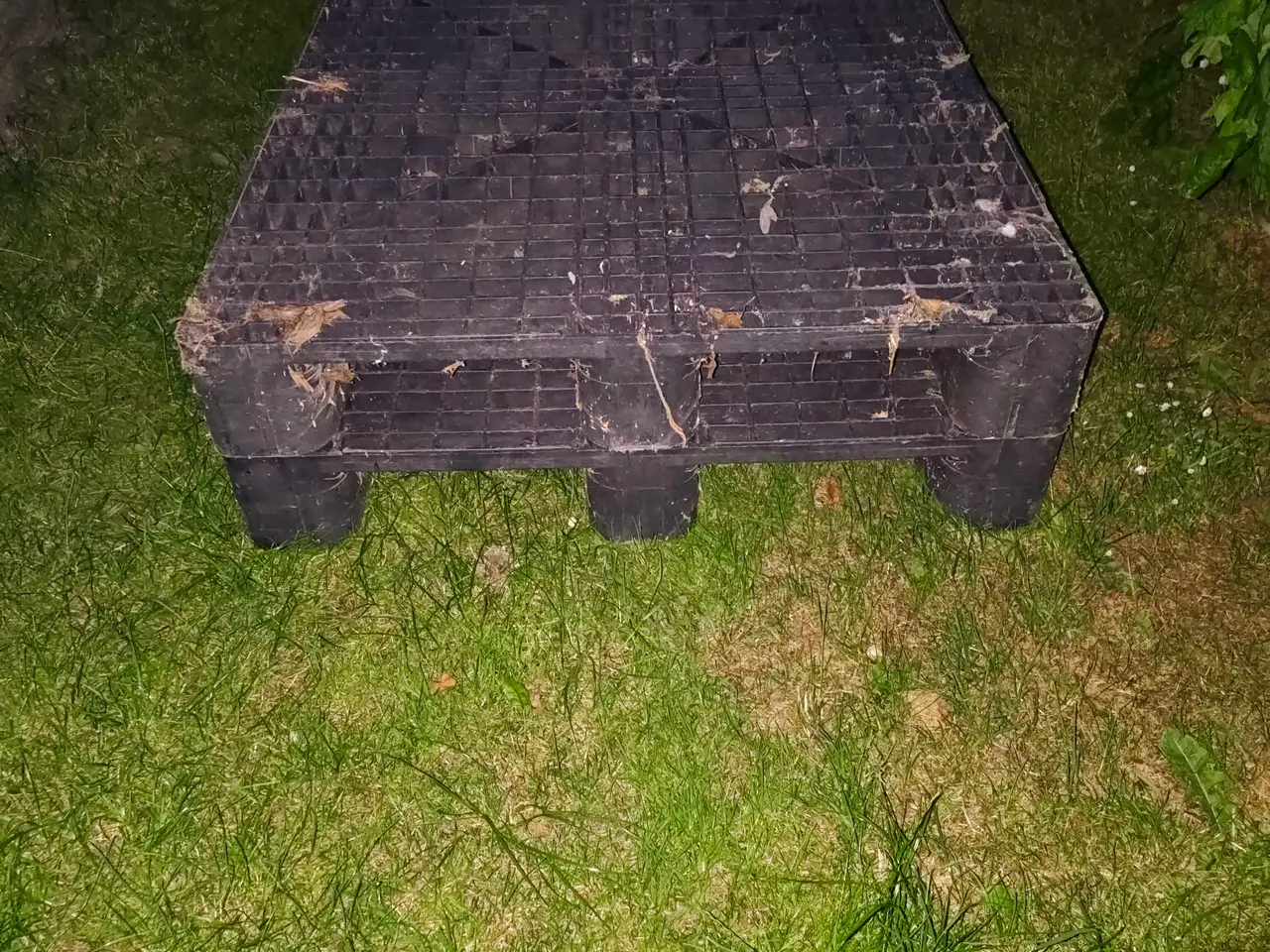 Billede 2 - Plastikpaller - 100x120 cm - 2 stk. 