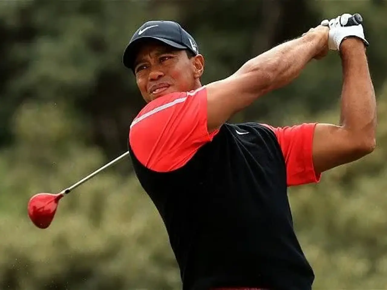 Billede 4 - EA Sports Tiger Woods PGA 2005