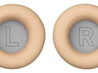Ørepuder til Beoplay H7 Natural