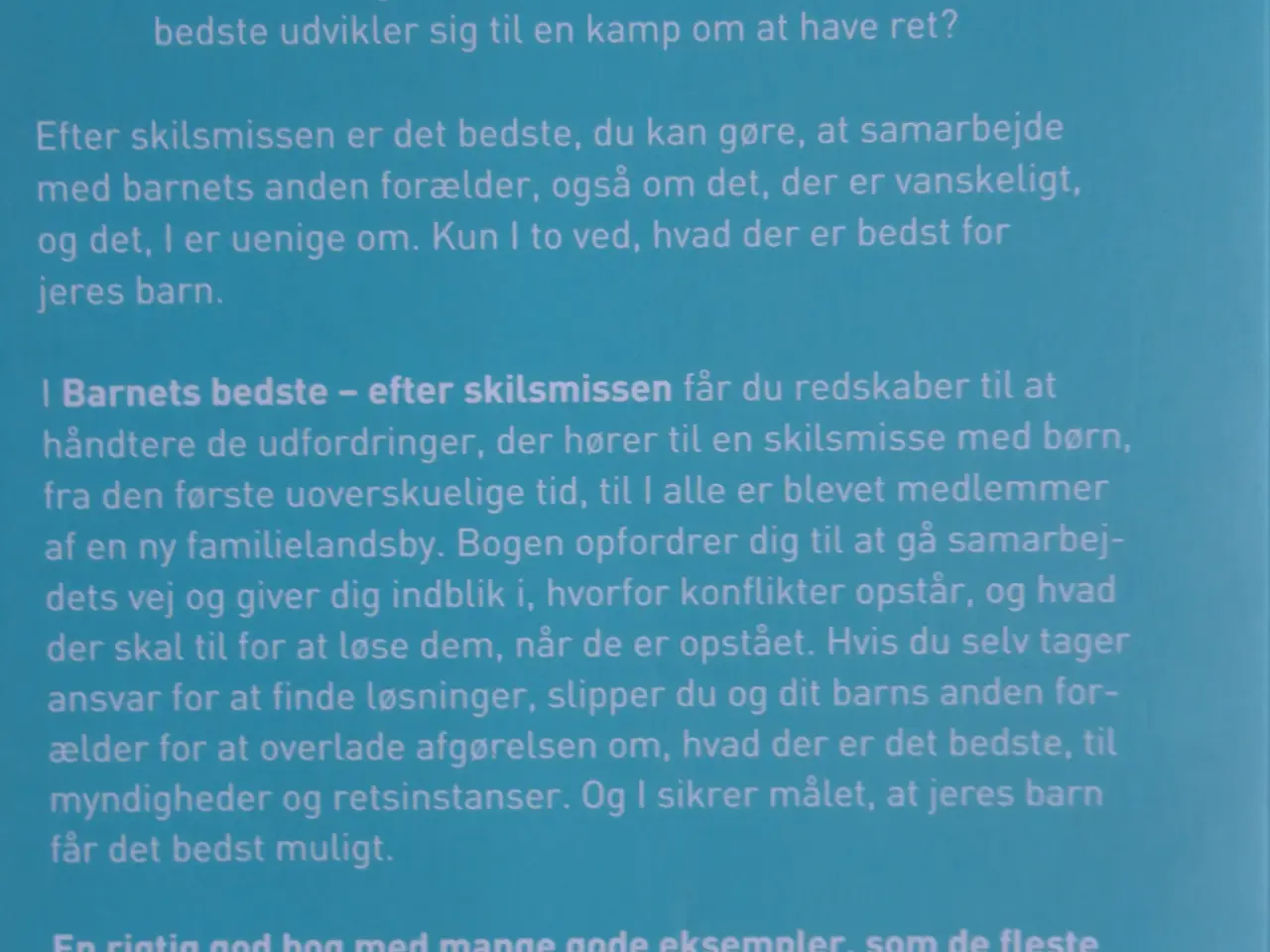 Billede 2 - Barnets bedste  -  efter skilsmissen  :