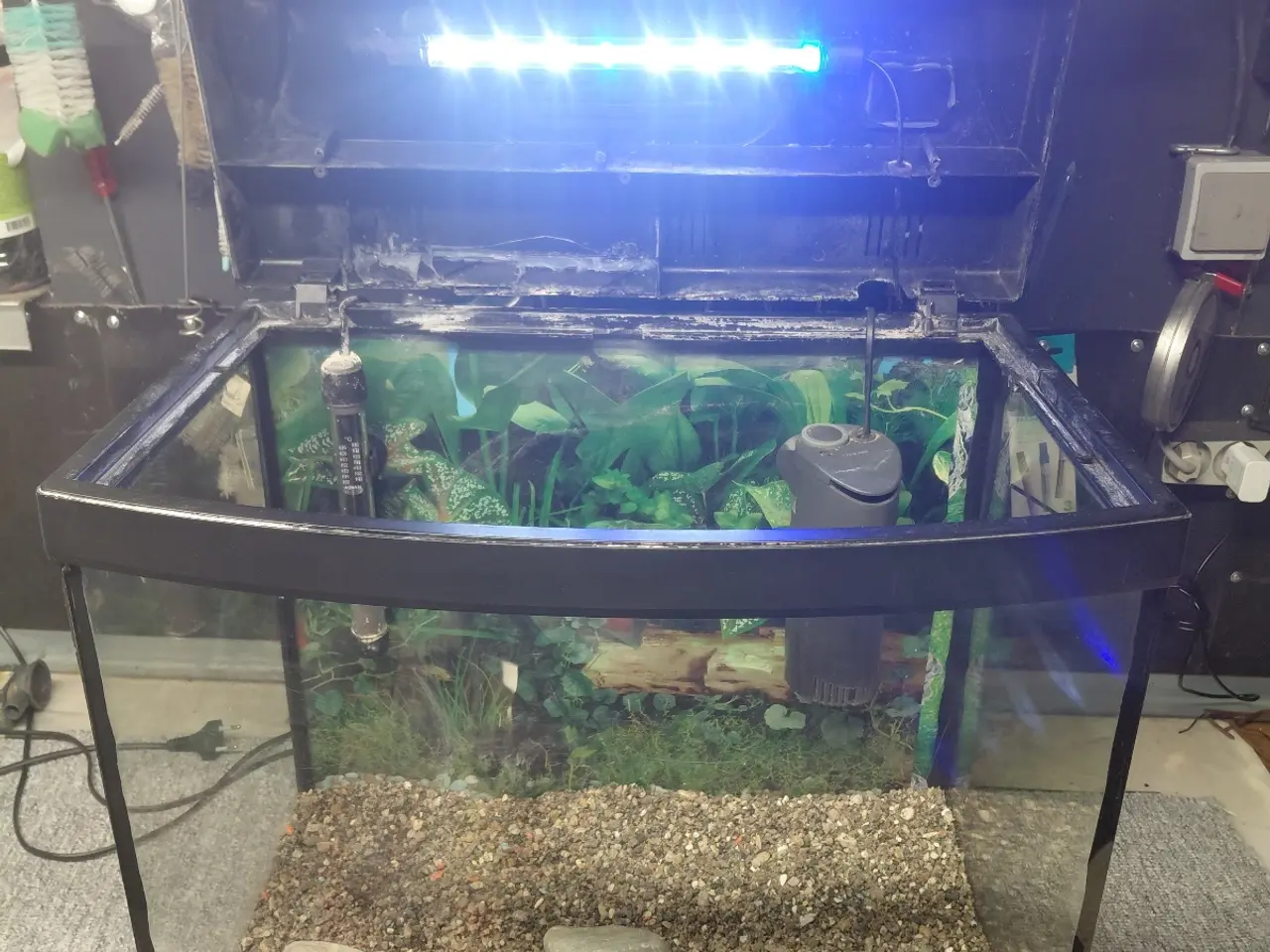 Billede 6 - Akvarier 65L