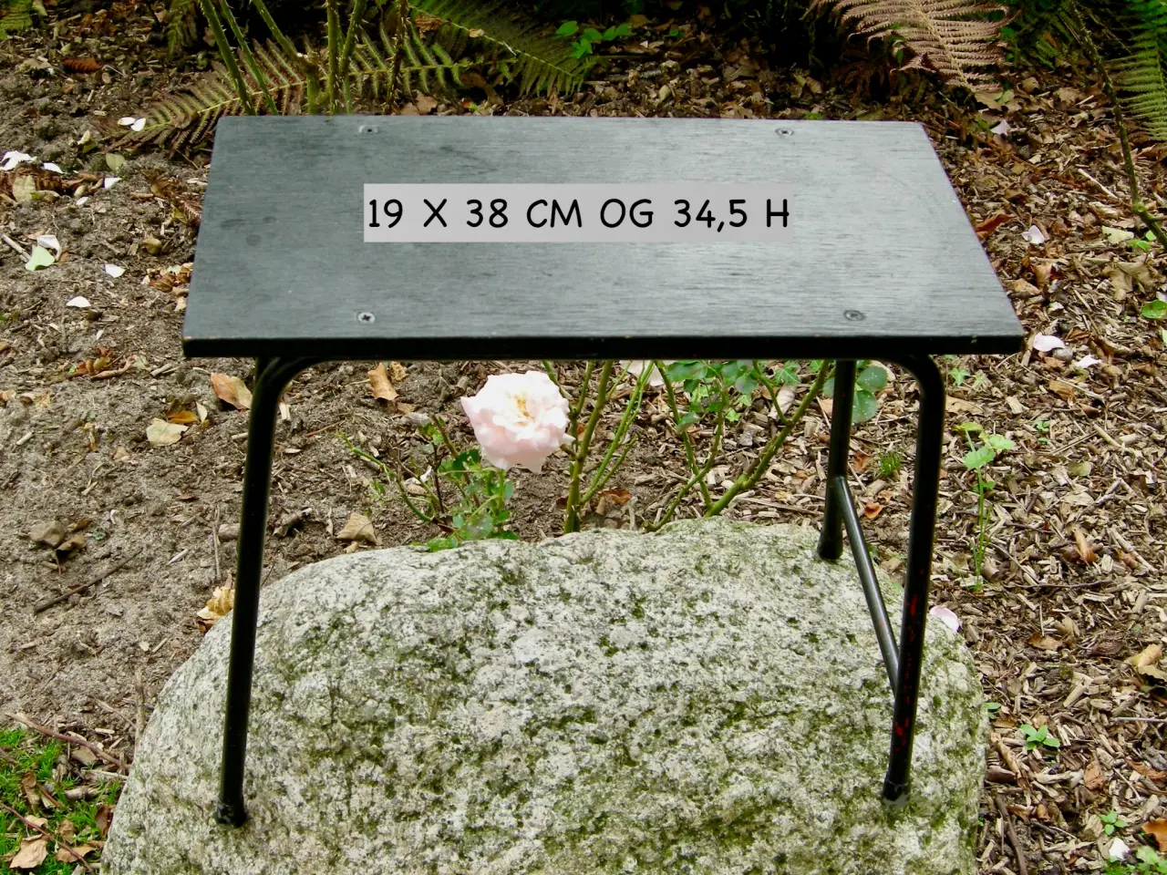 Billede 1 - SKAMMEL - Blomsterskammel - Drivhusskammel