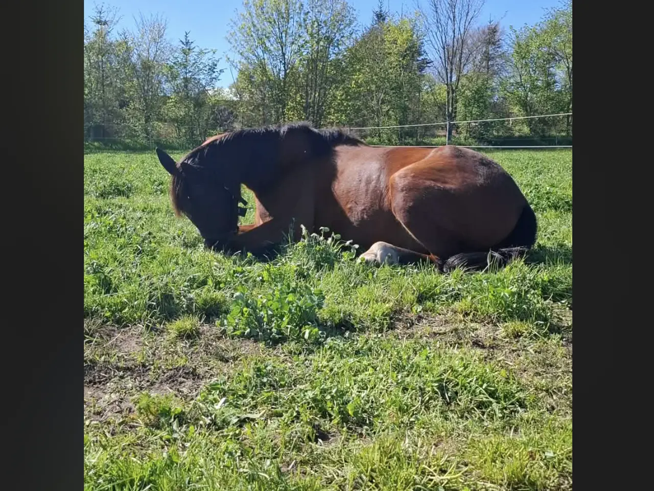 Billede 1 - Åben for bud