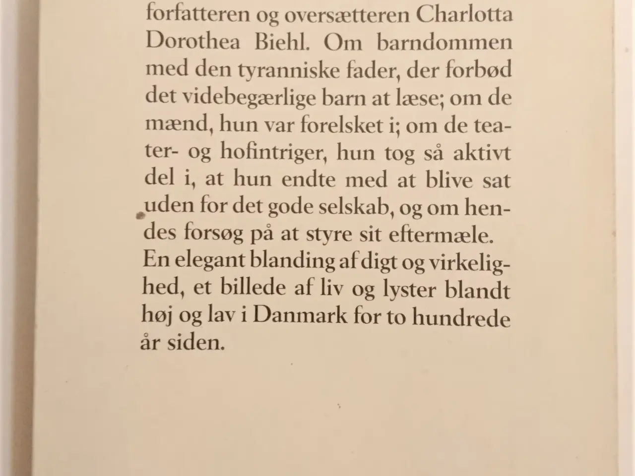 Billede 2 - Skriverjomfruen, Mette Winge