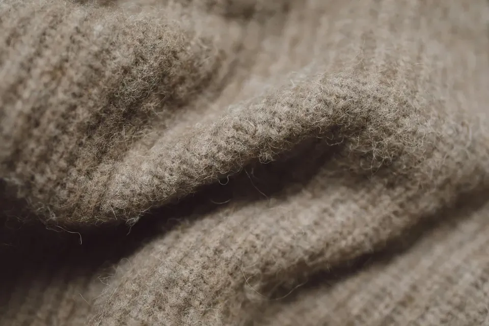 pexels-polina-tankilevitch-6630893.jpeg