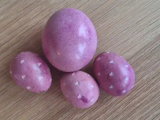 Afrikansk stenæg