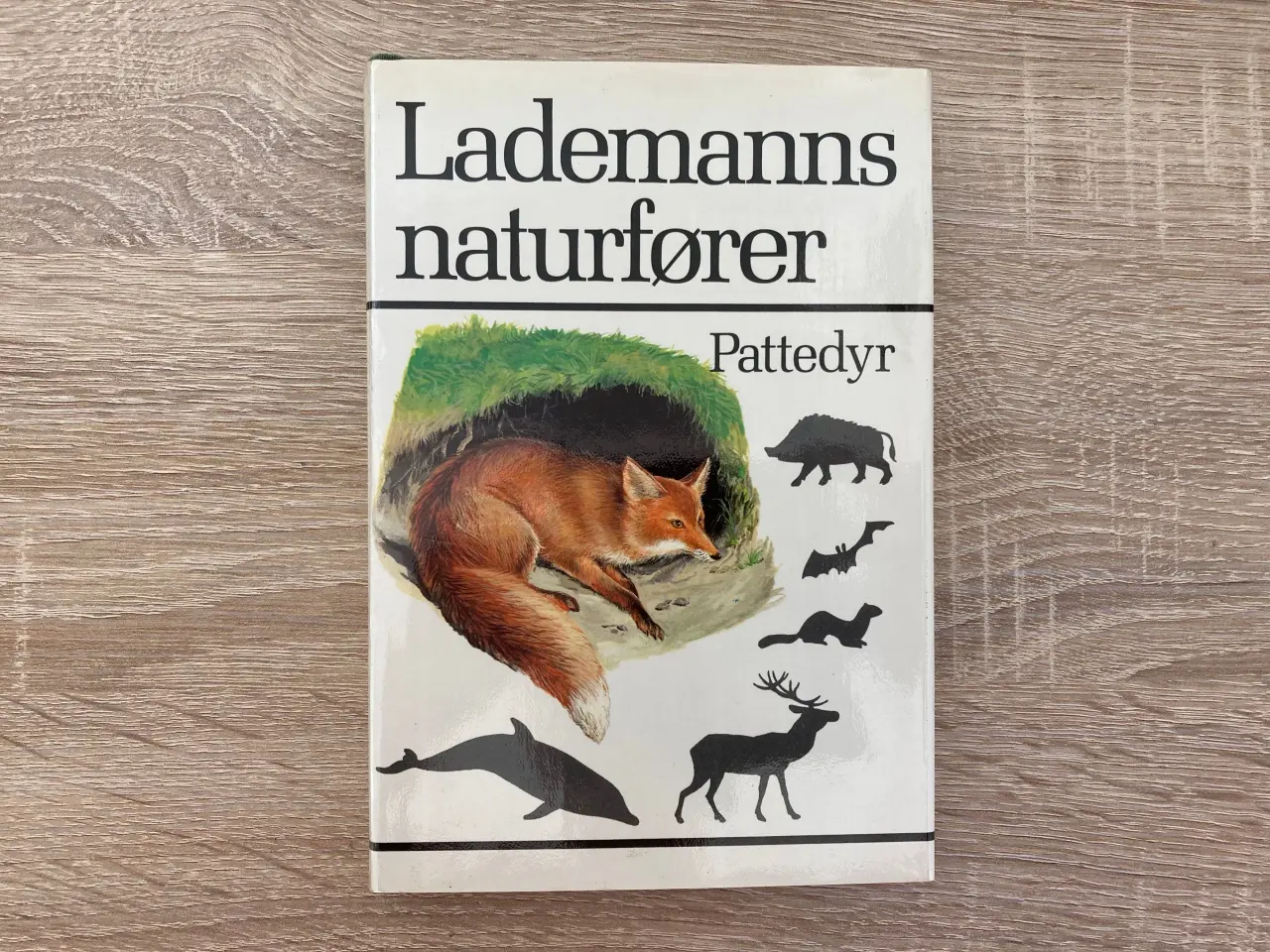 Billede 1 - Lademanns naturfører - Pattedyr
