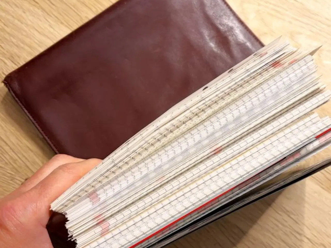 Billede 2 - Time System Compact - Læder-omslag
