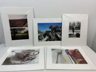 5 stk. originale foto-kunstværker