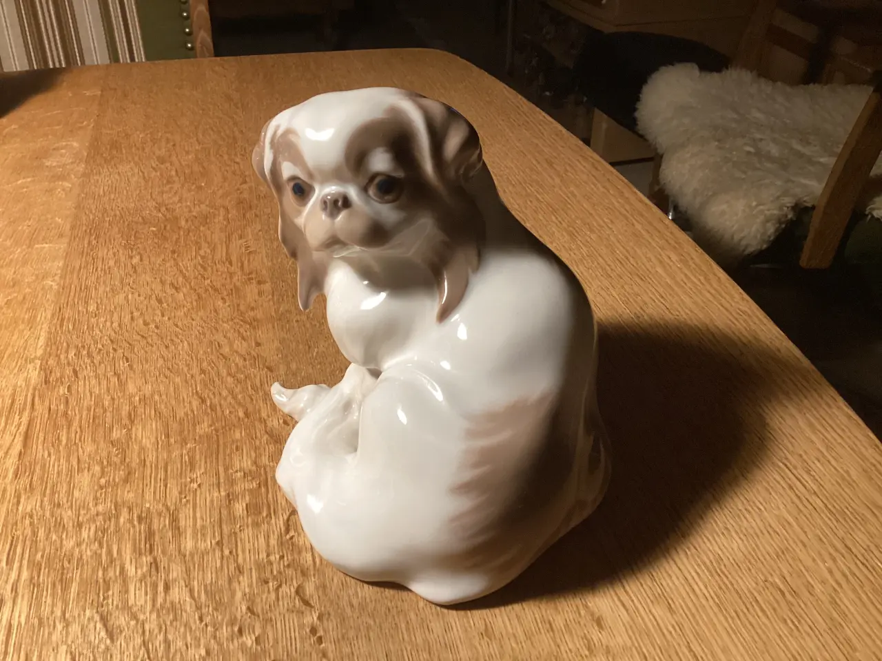 Billede 2 - BG stor Pekingeser hvalp 1000,00kr