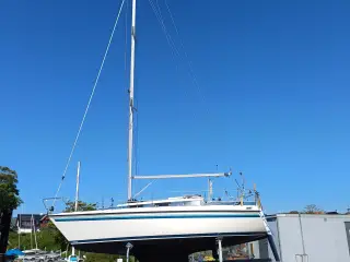 Nordship 808