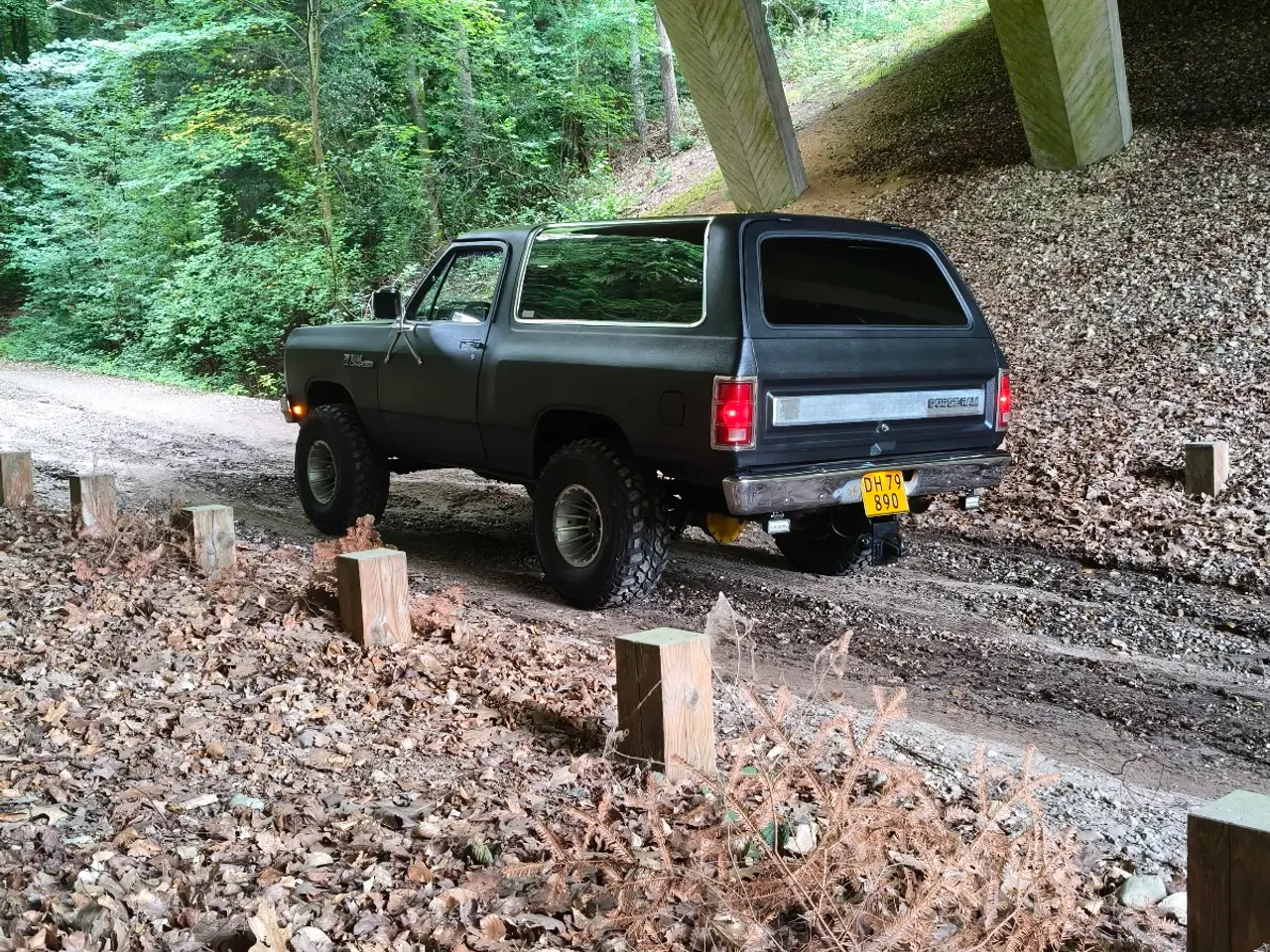 Billede 6 - Dodge Ramcharger