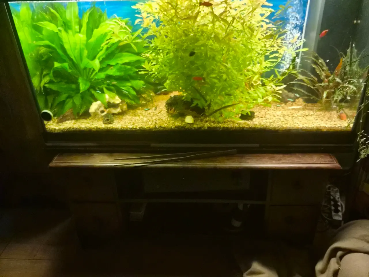 Billede 1 - 350 l Juwel akvarie og 110 l SuperFish akvarie